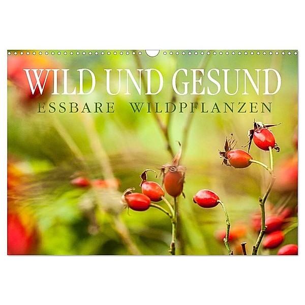 WILD UND GESUND Essbare Wildpflanzen (Wandkalender 2024 DIN A3 quer), CALVENDO Monatskalender, Markus Wuchenauer - Pixelrohkost