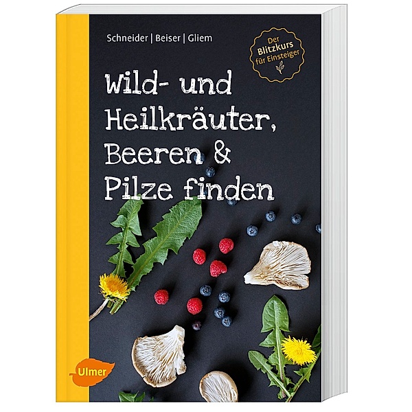 Wild- und Heilkräuter, Beeren & Pilze finden, Christine Schneider, Rudi Beiser, Maurice Gliem