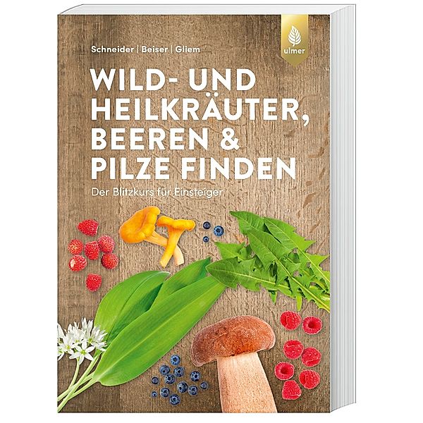 Wild- und Heilkräuter, Beeren und Pilze finden, Christine Schneider, Rudi Beiser, Maurice Gliem