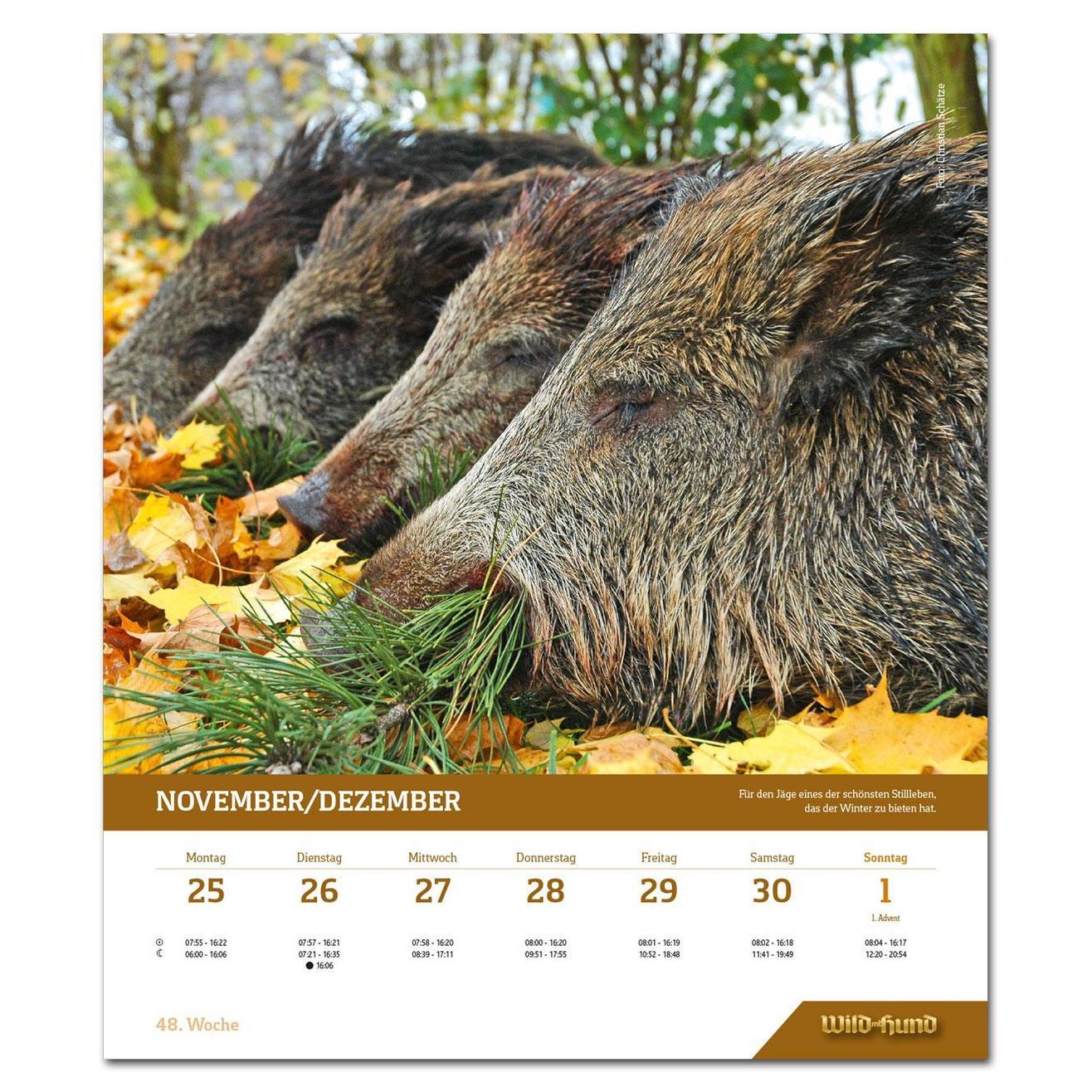 Wild und Hund Jagdkalender 2019 - Kalender bei Weltbild.ch kaufen