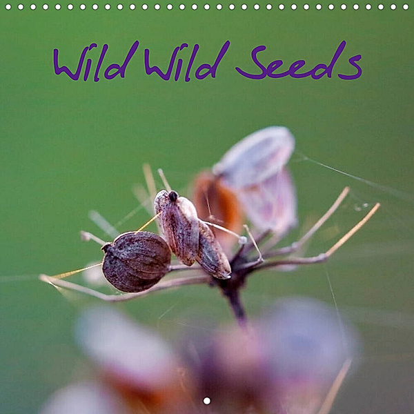 Wild Wild Seeds (Wall Calendar 2023 300 × 300 mm Square), Clemens Stenner