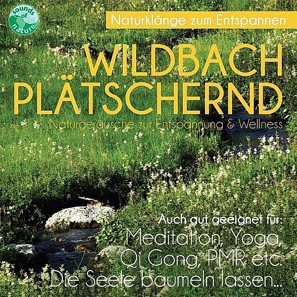 Wildbach Plätschernd,1 Audio-CD
