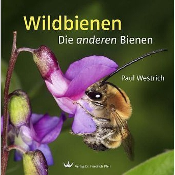 Wildbienen, Paul Westrich