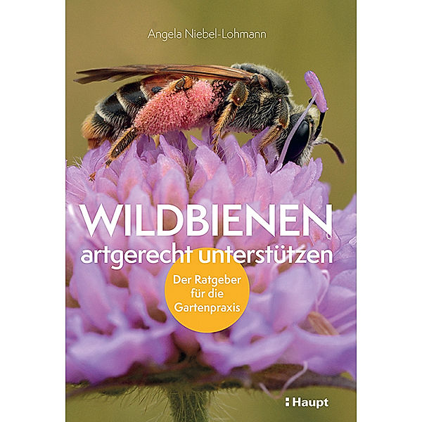 Wildbienen artgerecht unterstützen, Angela K. Niebel-Lohmann