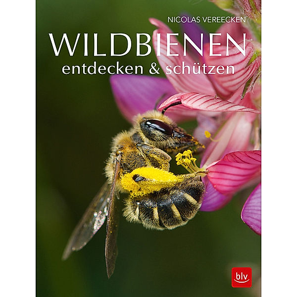 Wildbienen entdecken & schützen, Nicolas Vereecken