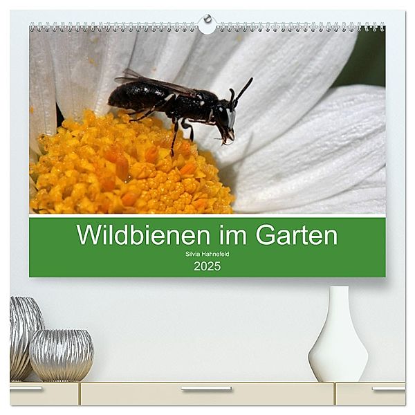 Wildbienen im Garten (hochwertiger Premium Wandkalender 2025 DIN A2 quer), Kunstdruck in Hochglanz, Calvendo, Silvia Hahnefeld