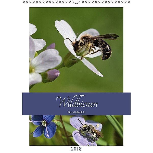 Wildbienen-Terminplaner 2018 (Wandkalender 2018 DIN A3 hoch) Dieser erfolgreiche Kalender wurde dieses Jahr mit gleichen, Silvia Hahnefeld