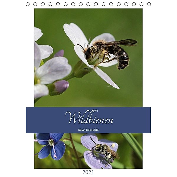 Wildbienen-Terminplaner 2021 (Tischkalender 2021 DIN A5 hoch), Silvia Hahnefeld