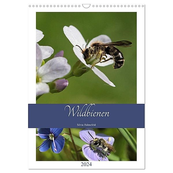 Wildbienen-Terminplaner 2024 (Wandkalender 2024 DIN A3 hoch), CALVENDO Monatskalender, Silvia Hahnefeld