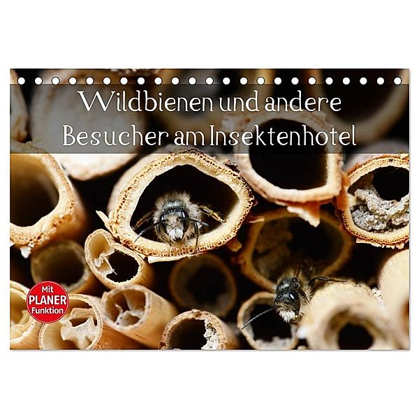 Wildbienen und andere Besucher am Insektenhotel (Tischkalender 2024 DIN A5 quer), CALVENDO Monatskalender, Anja Frost