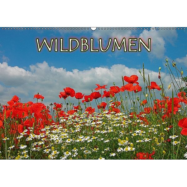 Wildblumen 2018 (Wandkalender 2018 DIN A2 quer), Bildagentur Geduldig