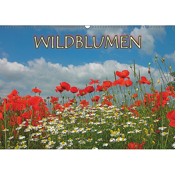 Wildblumen 2019 (Wandkalender 2019 DIN A2 quer), Bildagentur Geduldig