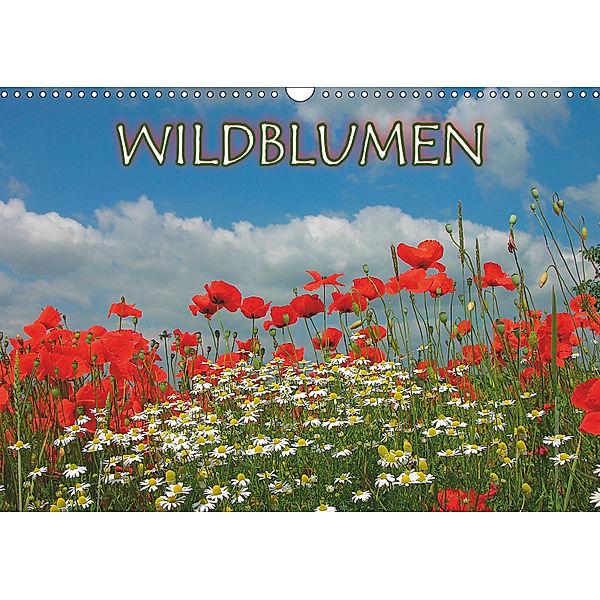 Wildblumen 2019 (Wandkalender 2019 DIN A3 quer), Bildagentur Geduldig