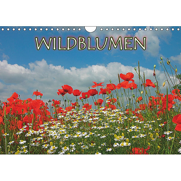 Wildblumen 2019 (Wandkalender 2019 DIN A4 quer), Bildagentur Geduldig