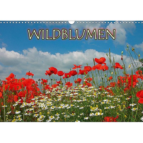 Wildblumen 2021 (Wandkalender 2021 DIN A3 quer), Bildagentur Geduldig