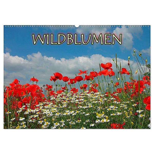 Wildblumen 2024 (Wandkalender 2024 DIN A2 quer), CALVENDO Monatskalender, Bildagentur Geduldig