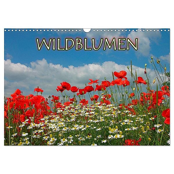 Wildblumen 2024 (Wandkalender 2024 DIN A3 quer), CALVENDO Monatskalender, Bildagentur Geduldig