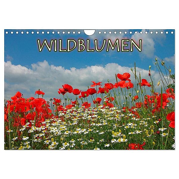Wildblumen 2024 (Wandkalender 2024 DIN A4 quer), CALVENDO Monatskalender, Bildagentur Geduldig