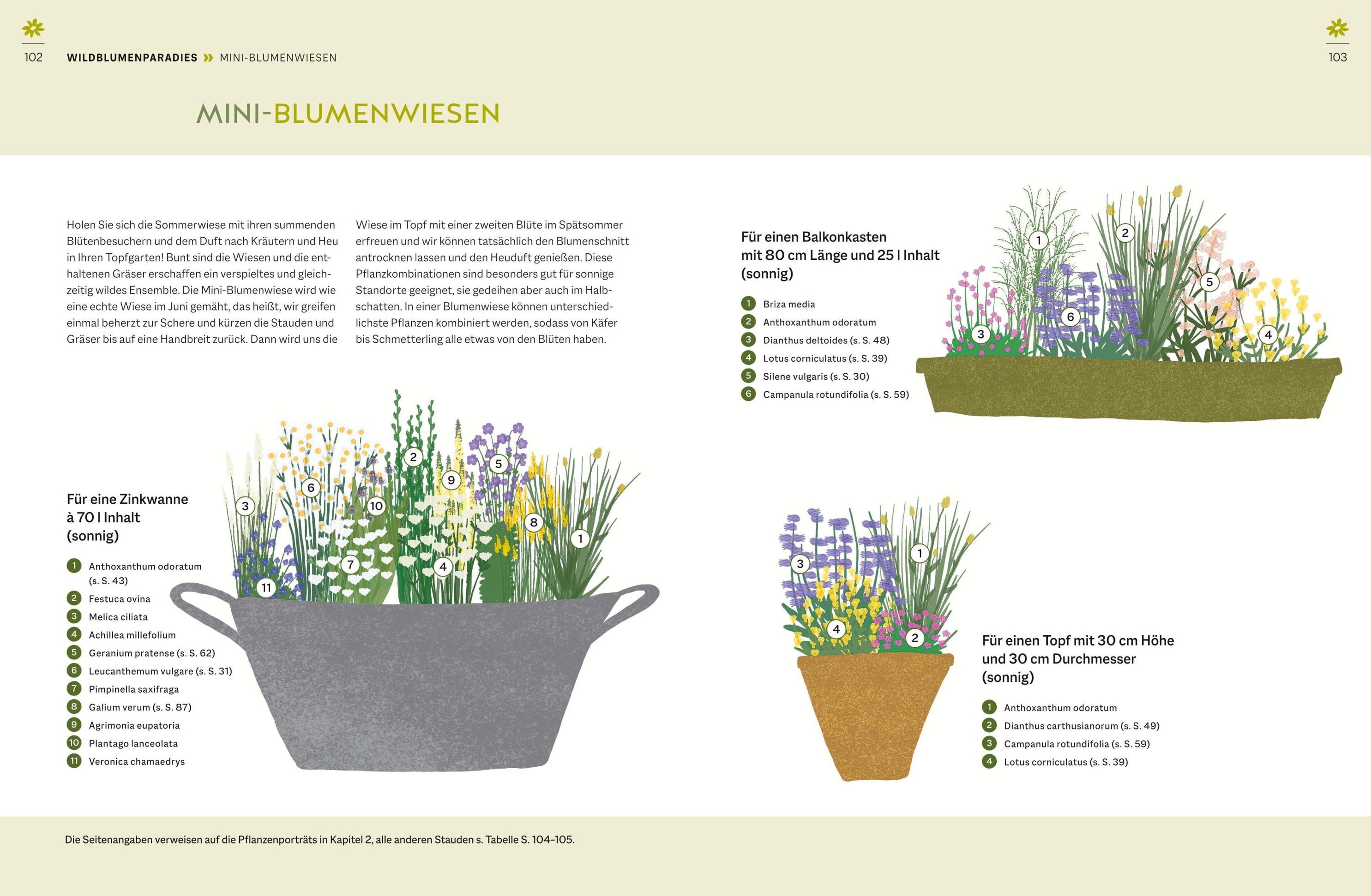 Wildblumen für Balkon und Terrasse Buch versandkostenfrei bei Weltbild.de
