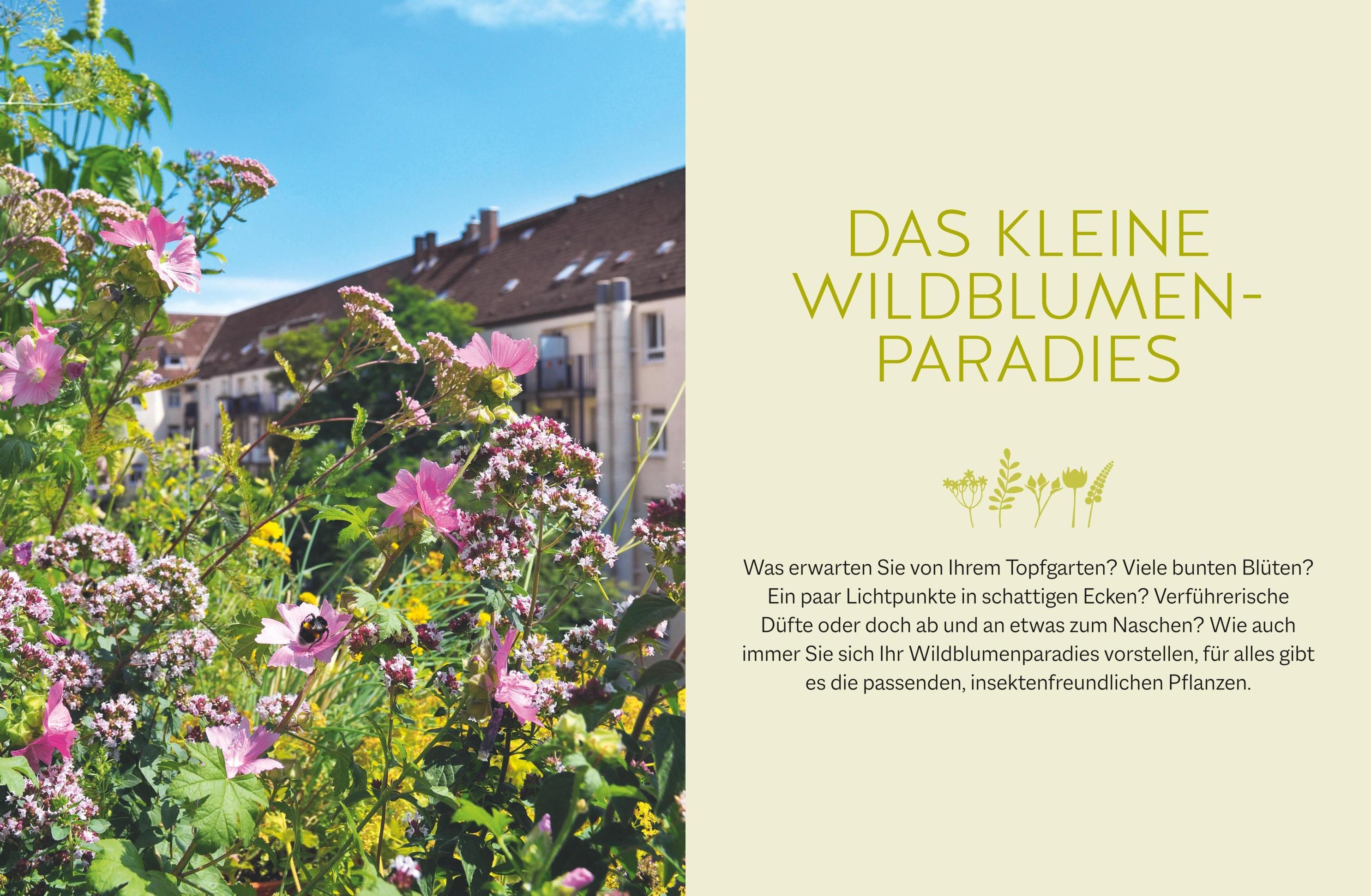 Wildblumen für Balkon und Terrasse Buch versandkostenfrei bei Weltbild.at