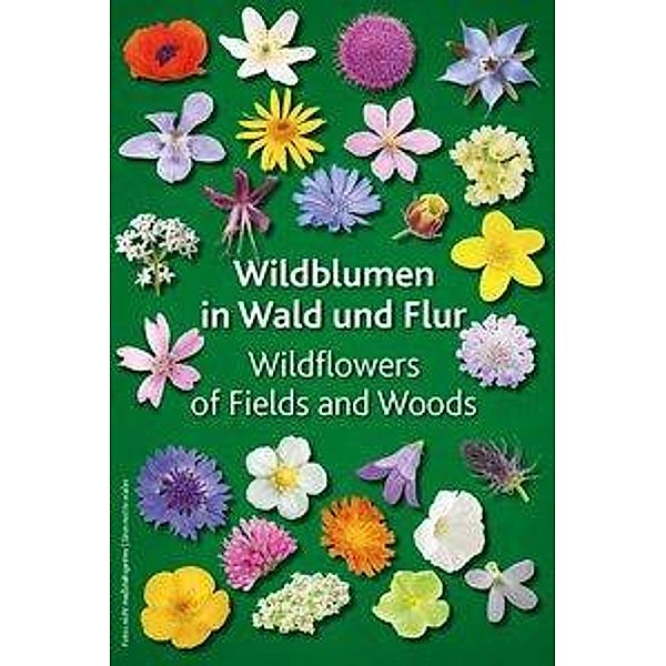 Wildblumen in Wald und Flur