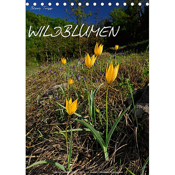 WILDBLUMEN (Tischkalender 2019 DIN A5 hoch), Benny Trapp