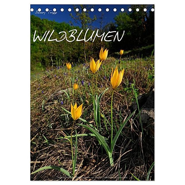 WILDBLUMEN (Tischkalender 2025 DIN A5 hoch), CALVENDO Monatskalender, Calvendo, Benny Trapp