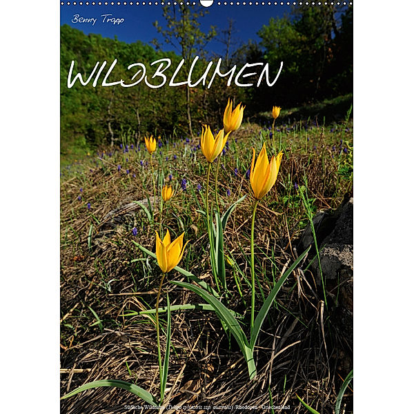 WILDBLUMEN (Wandkalender 2019 DIN A2 hoch), Benny Trapp