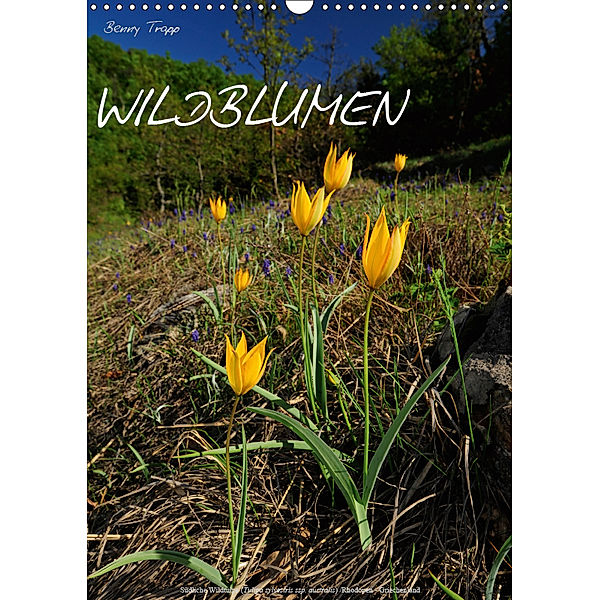 WILDBLUMEN (Wandkalender 2019 DIN A3 hoch), Benny Trapp