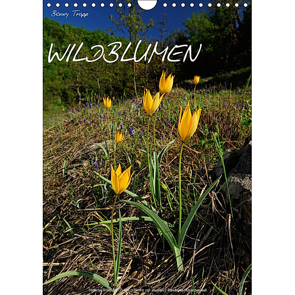 WILDBLUMEN (Wandkalender 2019 DIN A4 hoch), Benny Trapp