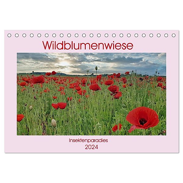 Wildblumenwiese Insektenparadies (Tischkalender 2024 DIN A5 quer), CALVENDO Monatskalender, Claudia Kleemann