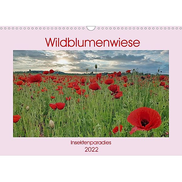 Wildblumenwiese Insektenparadies (Wandkalender 2022 DIN A3 quer), Claudia Kleemann