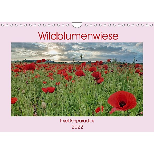 Wildblumenwiese Insektenparadies (Wandkalender 2022 DIN A4 quer), Claudia Kleemann
