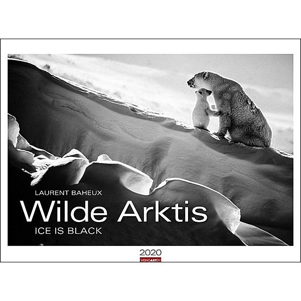 Wilde Arktis 2020