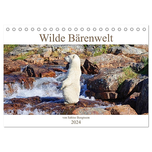 Wilde Bärenwelt (Tischkalender 2024 DIN A5 quer), CALVENDO Monatskalender, Sabine Bengtsson