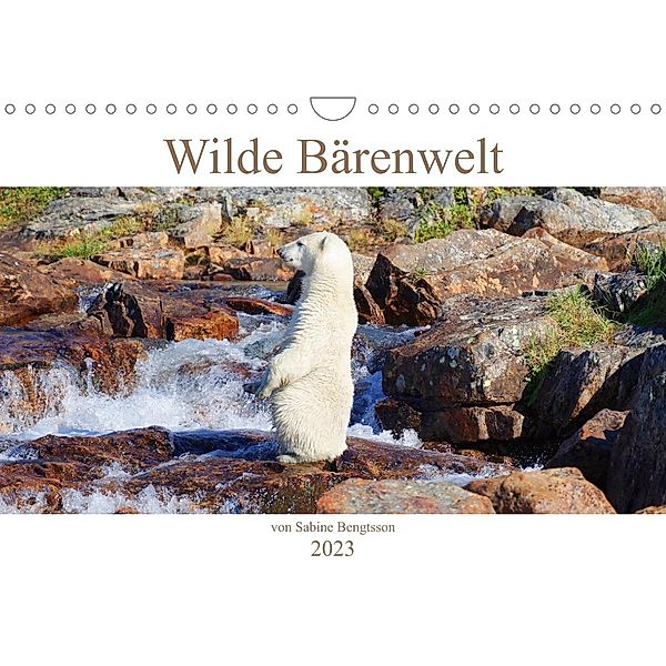 Wilde Bärenwelt (Wandkalender 2023 DIN A4 quer), Sabine Bengtsson