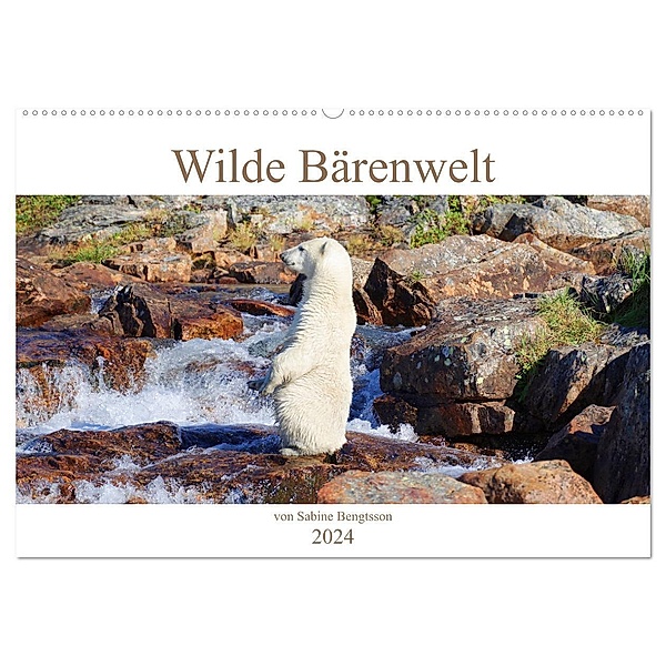 Wilde Bärenwelt (Wandkalender 2024 DIN A2 quer), CALVENDO Monatskalender, Sabine Bengtsson