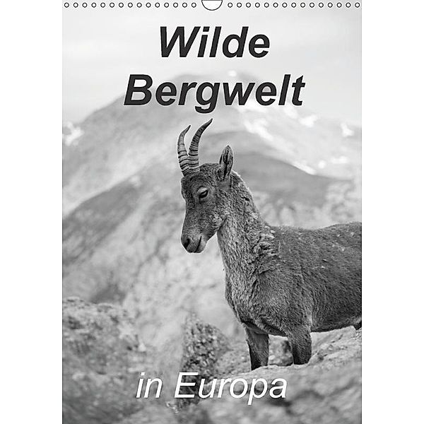 Wilde Bergwelt in Europa (Wandkalender 2017 DIN A3 hoch), Christine Görig