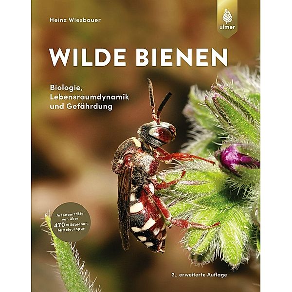 Wilde Bienen, Heinz Wiesbauer