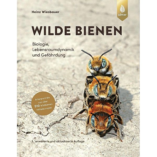 Wilde Bienen, Heinz Wiesbauer