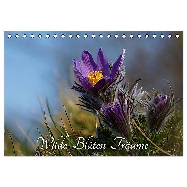 Wilde Blüten-Träume (Tischkalender 2024 DIN A5 quer), CALVENDO Monatskalender, Lutz Klapp