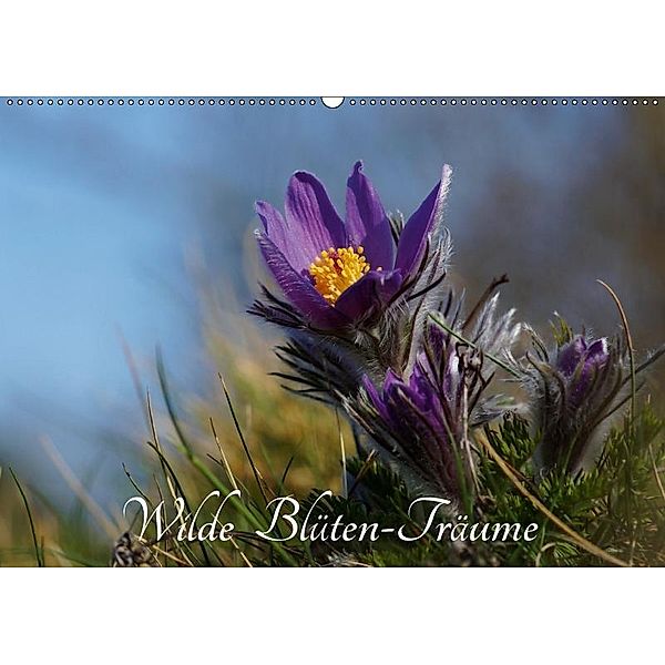 Wilde Blüten-Träume (Wandkalender 2019 DIN A2 quer), Lutz Klapp