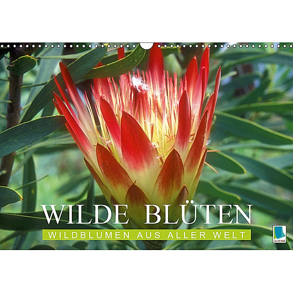 Wilde Blüten: Wildblumen aus aller Welt (Wandkalender 2019 DIN A3 quer), CALVENDO