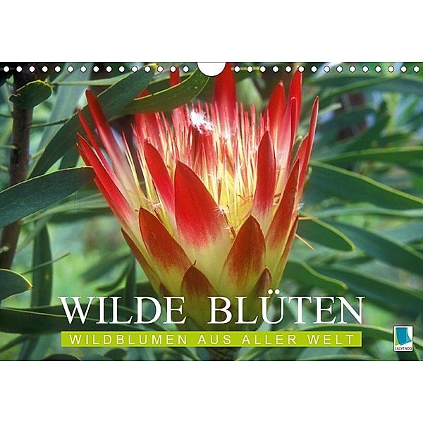 Wilde Blüten: Wildblumen aus aller Welt (Wandkalender 2020 DIN A4 quer)