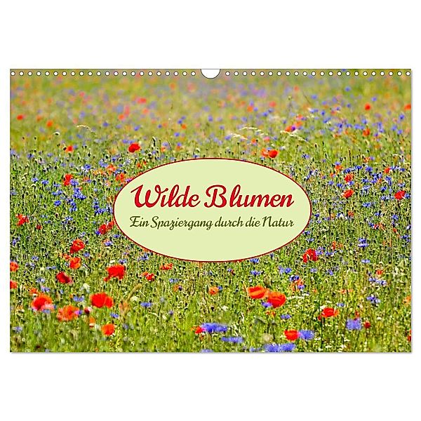 Wilde Blumen - ein Spaziergang durch die Natur (Wandkalender 2024 DIN A3 quer), CALVENDO Monatskalender, Calvendo