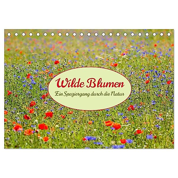 Wilde Blumen - ein Spaziergang durch die Natur (Tischkalender 2024 DIN A5 quer), CALVENDO Monatskalender, Calvendo