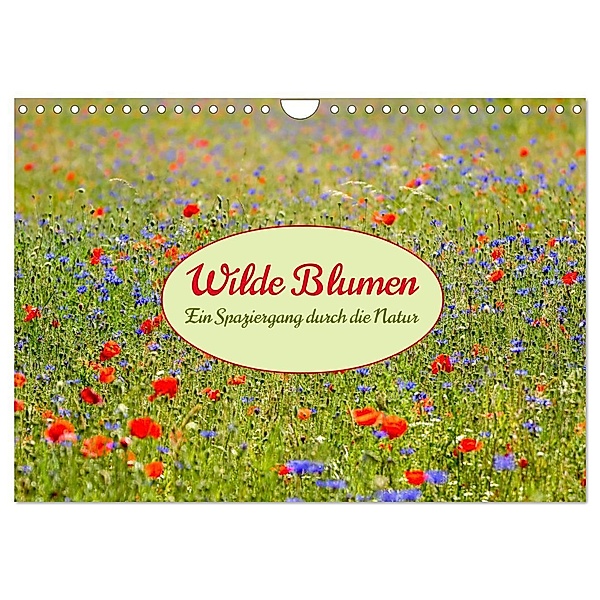 Wilde Blumen - ein Spaziergang durch die Natur (Wandkalender 2024 DIN A4 quer), CALVENDO Monatskalender, Calvendo