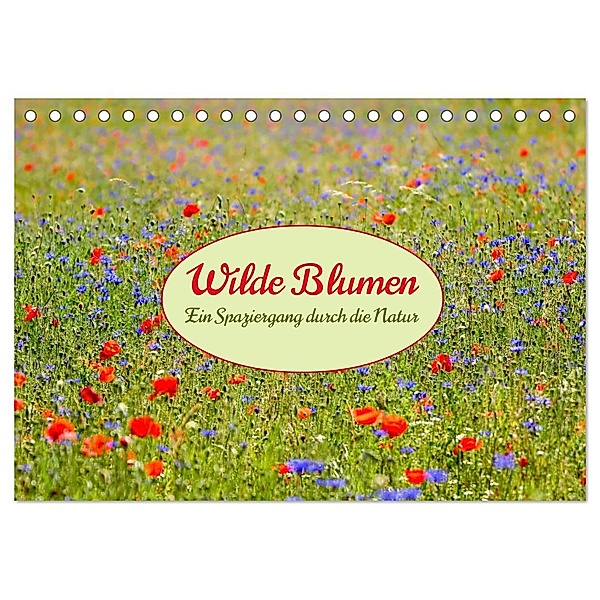 Wilde Blumen - ein Spaziergang durch die Natur (Tischkalender 2025 DIN A5 quer), CALVENDO Monatskalender, Calvendo