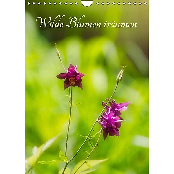 Wilde Blumen träumen (Wandkalender 2023 DIN A4 hoch), © Clemens Stenner