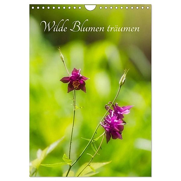 Wilde Blumen träumen (Wandkalender 2024 DIN A4 hoch), CALVENDO Monatskalender, © Clemens Stenner